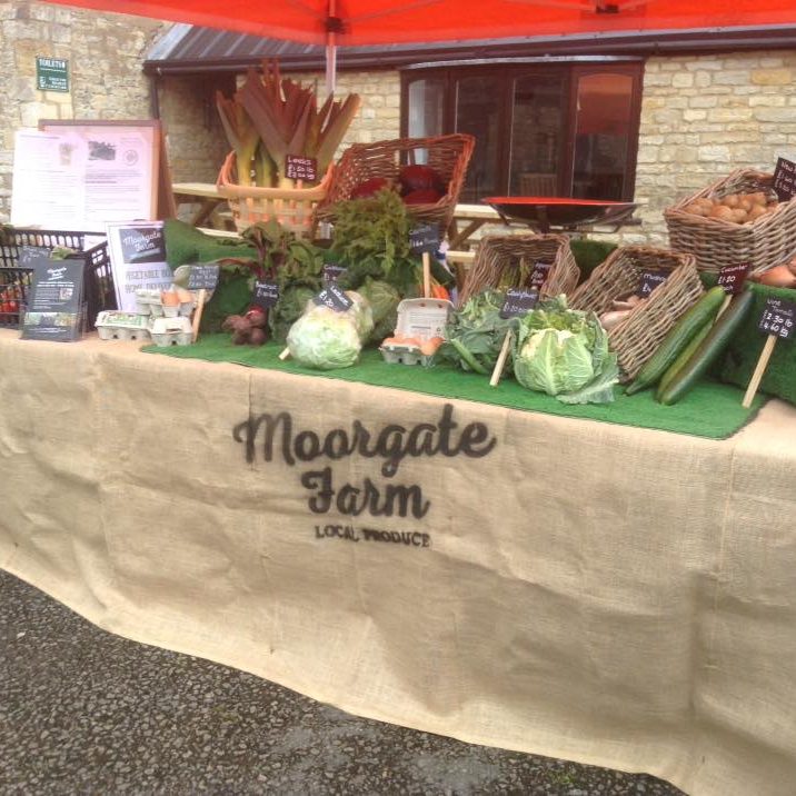 18527982_317979065301403_1722771339351211574_n