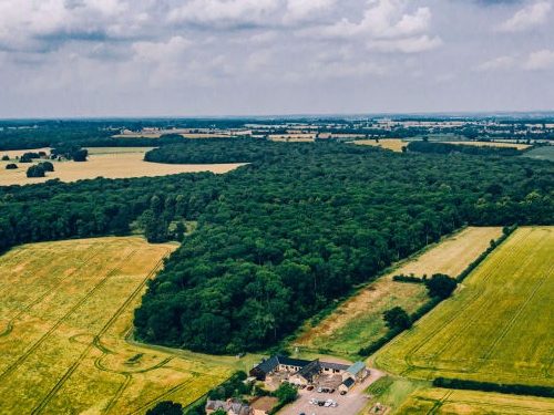 271695666_4772437626168947_3582317418487529121_n