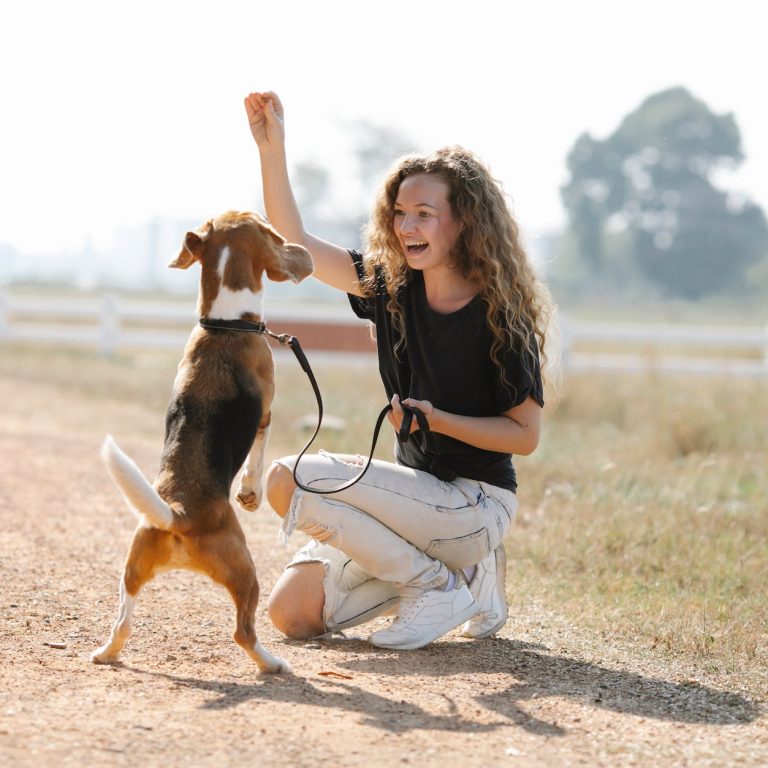 pexels-photo-7210458 excited woman teaching dog to beg