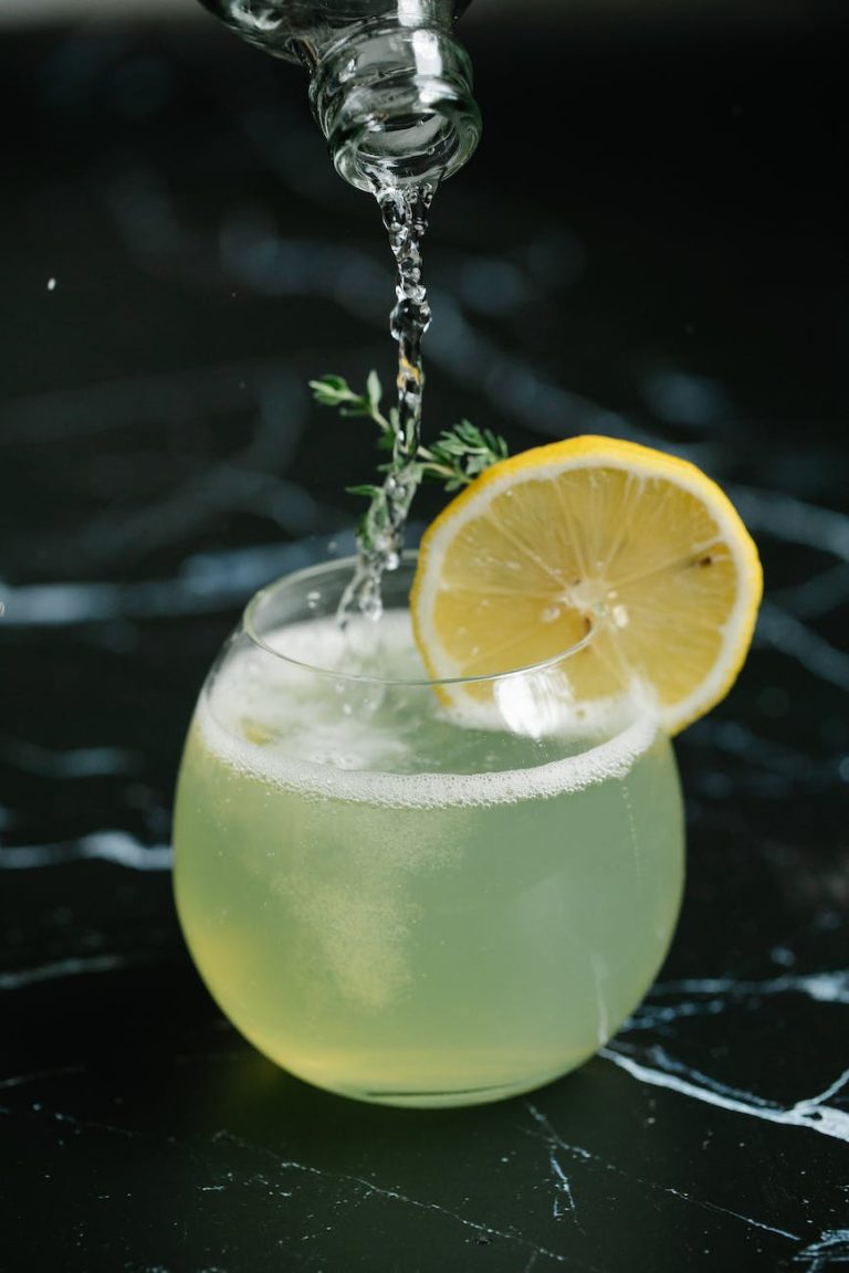 cocktail drink in clear glass with slice of lemon