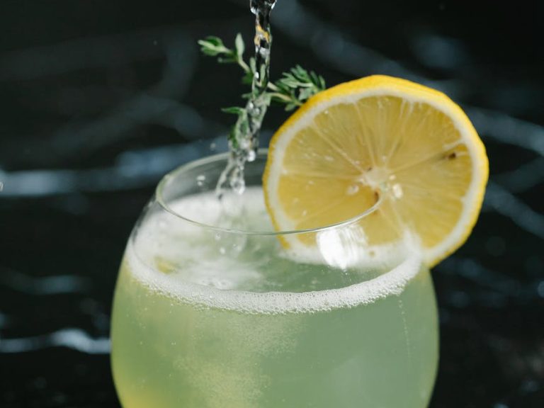 pexels-photo-8679352 cocktail drink in clear glass with slice of lemon