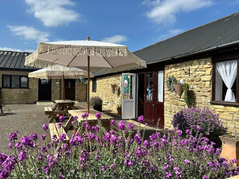 495368245_1242525017879583_5903983548275825265_n