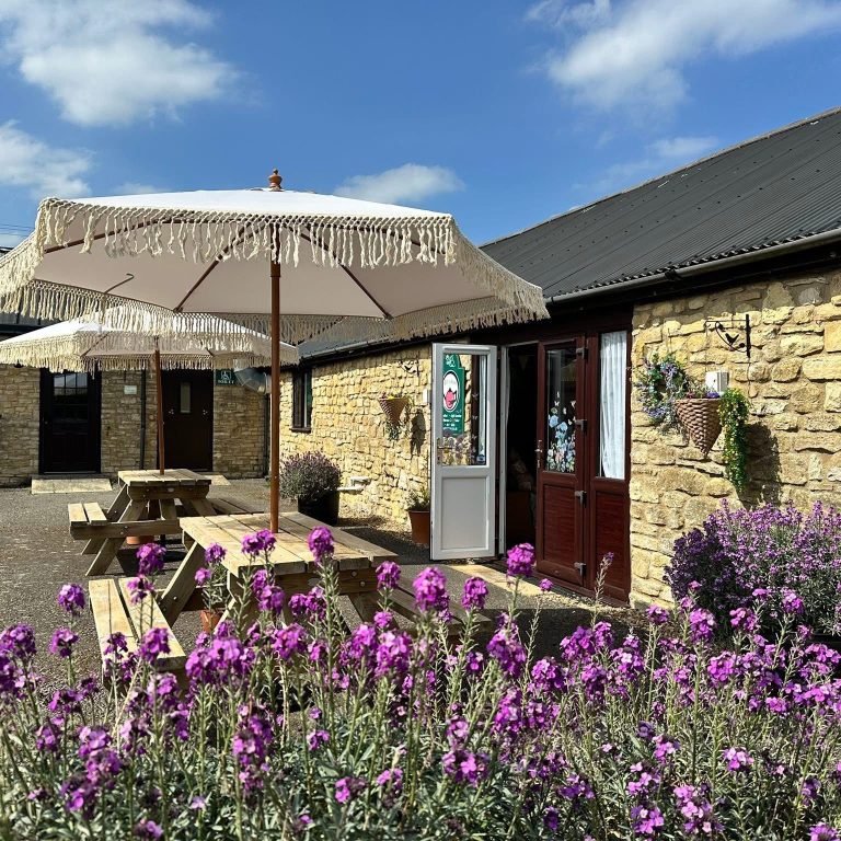 495368245_1242525017879583_5903983548275825265_n